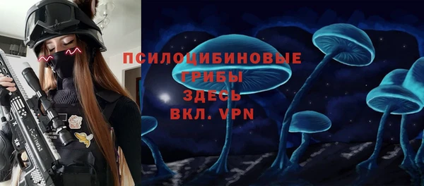 а пвп мука Медногорск