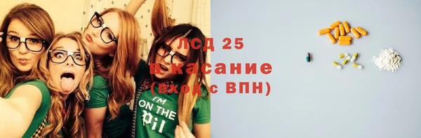 ГАЛЛЮЦИНОГЕННЫЕ ГРИБЫ Зуевка