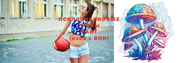 винт Мегион