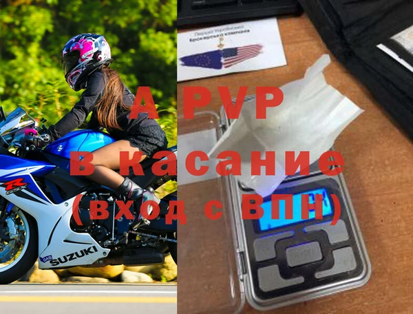 ГАЛЛЮЦИНОГЕННЫЕ ГРИБЫ Зуевка