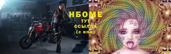 ГАЛЛЮЦИНОГЕННЫЕ ГРИБЫ Зуевка