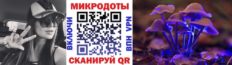 закладки  Фрязино  Галлюциногенные грибы MAGIC MUSHROOMS 