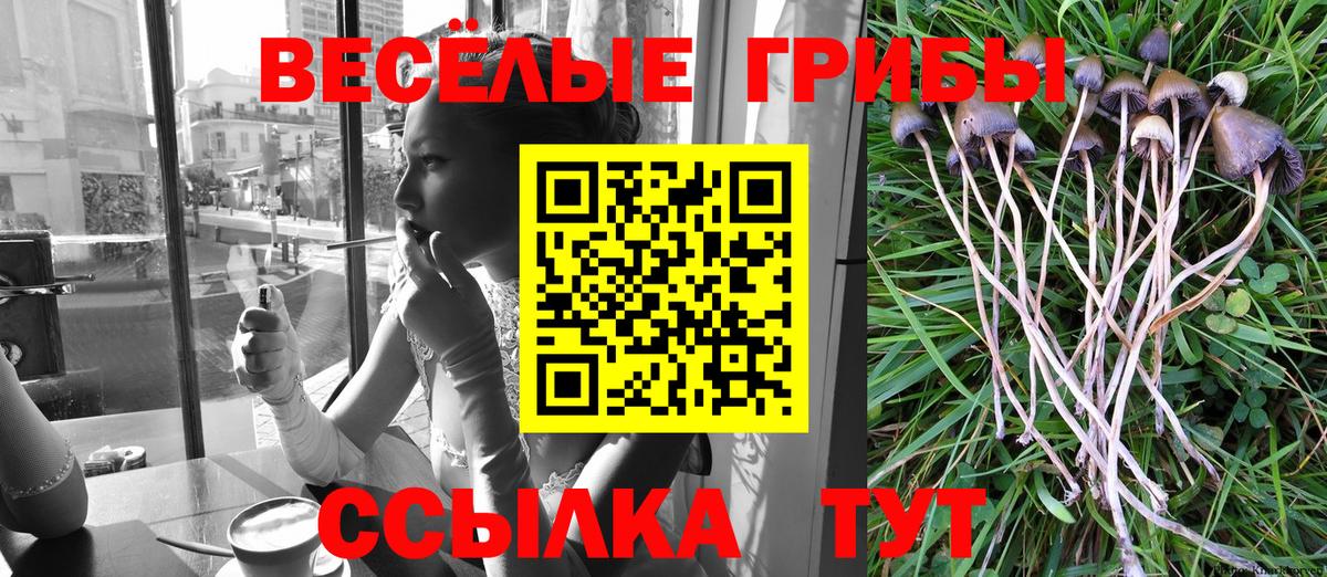 Галлюциногенные грибы Psilocybine cubensis Фрязино