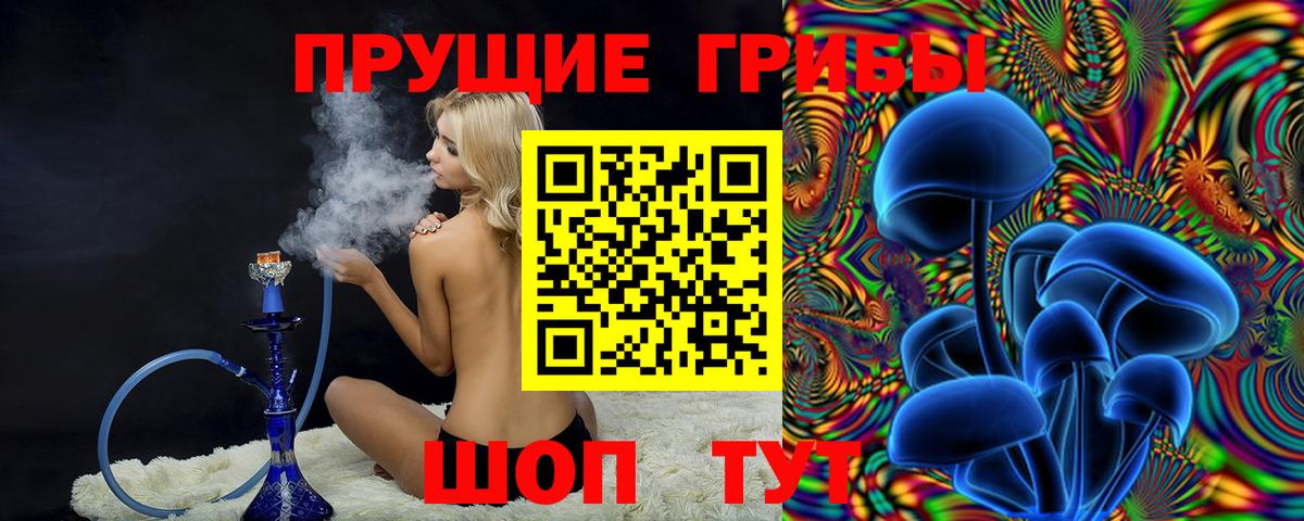 Псилоцибиновые грибы мухоморы Фрязино