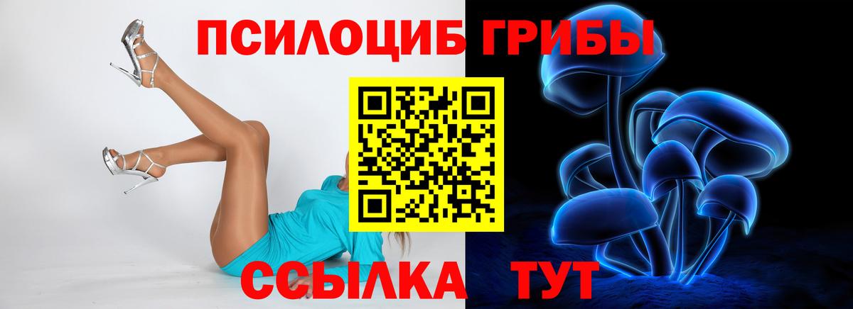 Галлюциногенные грибы GOLDEN TEACHER  Вход с VPN  закладка  Псилоцибиновые грибы ЛСД  Фрязино 